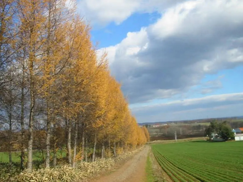 Pension Mokumoku Tokachi