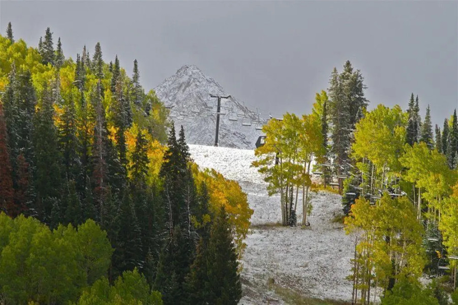 Paradise Condos - Crested Butte Mountain Rentals