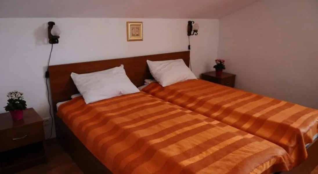 Vila Stefana Paltinis