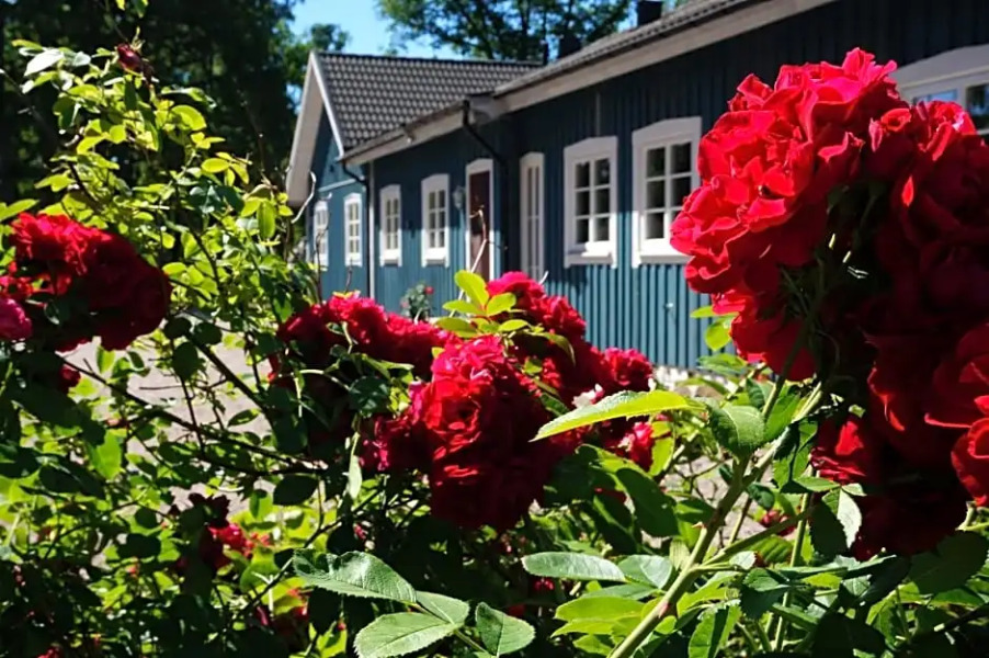 Bolmsö B&B