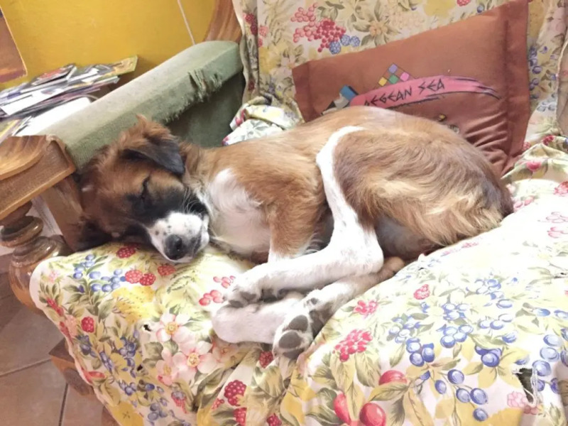 Shkodra Backpackers Hostel - Mi Casa Es Tu Casa