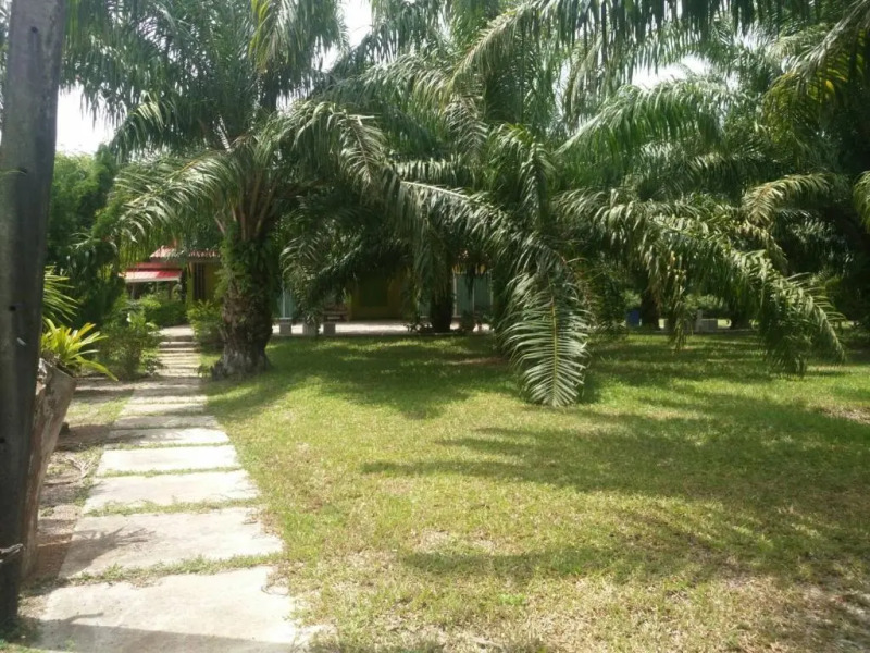 Baan Suan Nam Resort