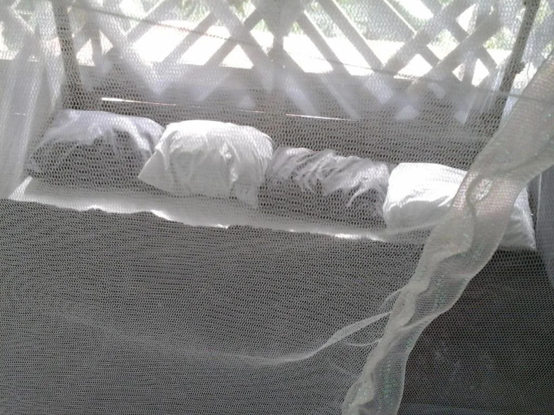 Blue Butterfly Hotel