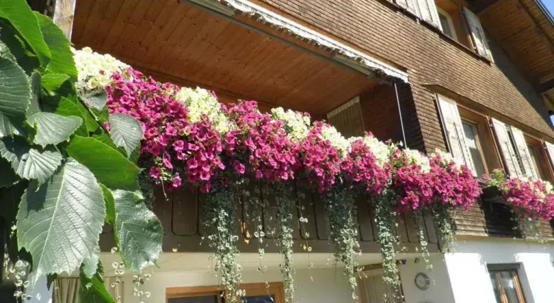 Ferienwohnung Kaufmann