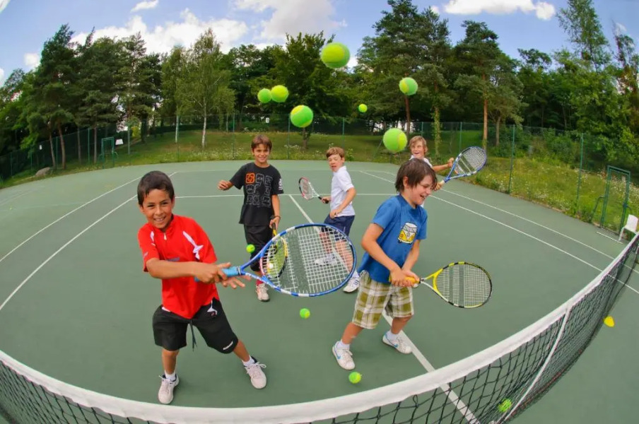 Roulottes de Bois le roi