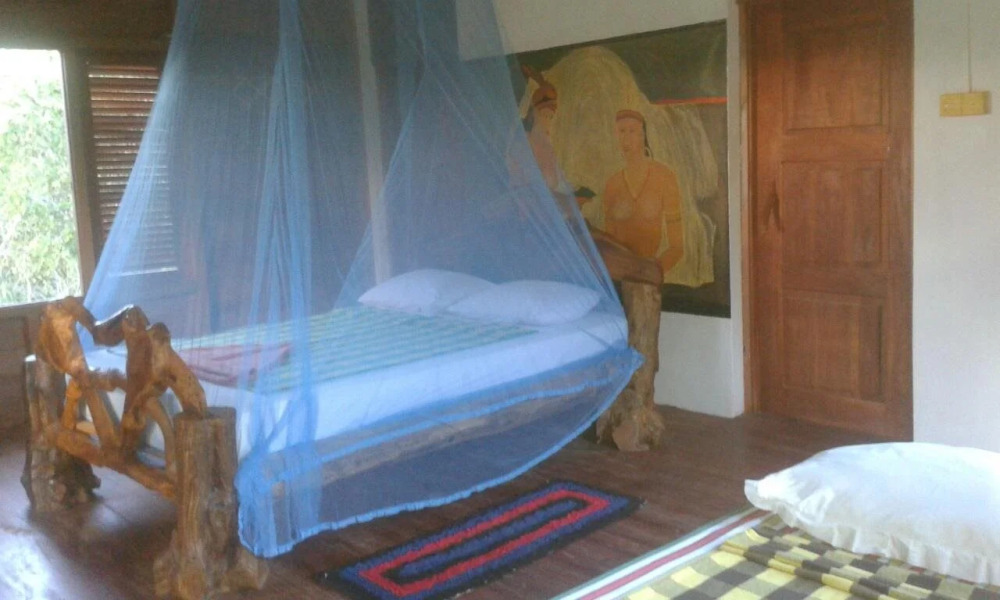 Jiwes Hideout Forest Region