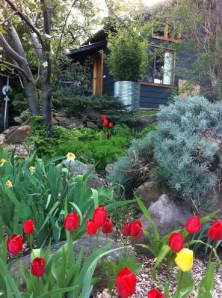 Bimblegumbie Mountain Lodge