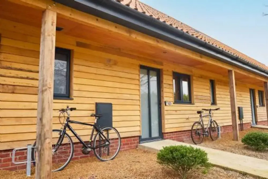 Host Stay Number One Piglets