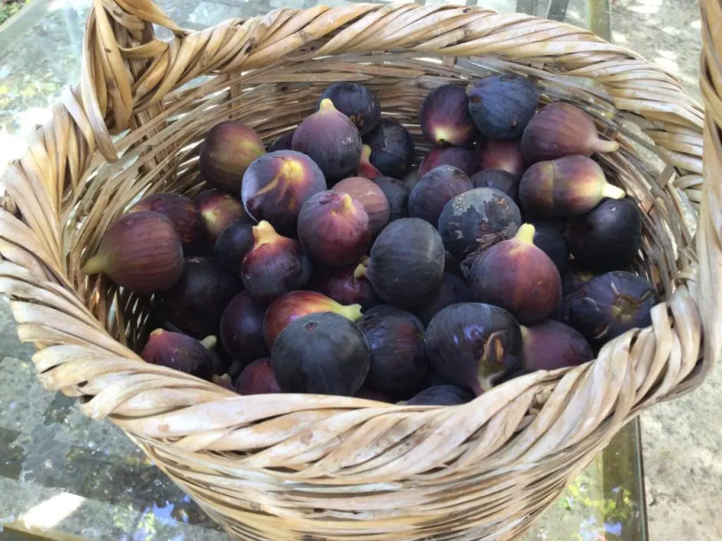 Pervolaris Cottages 1