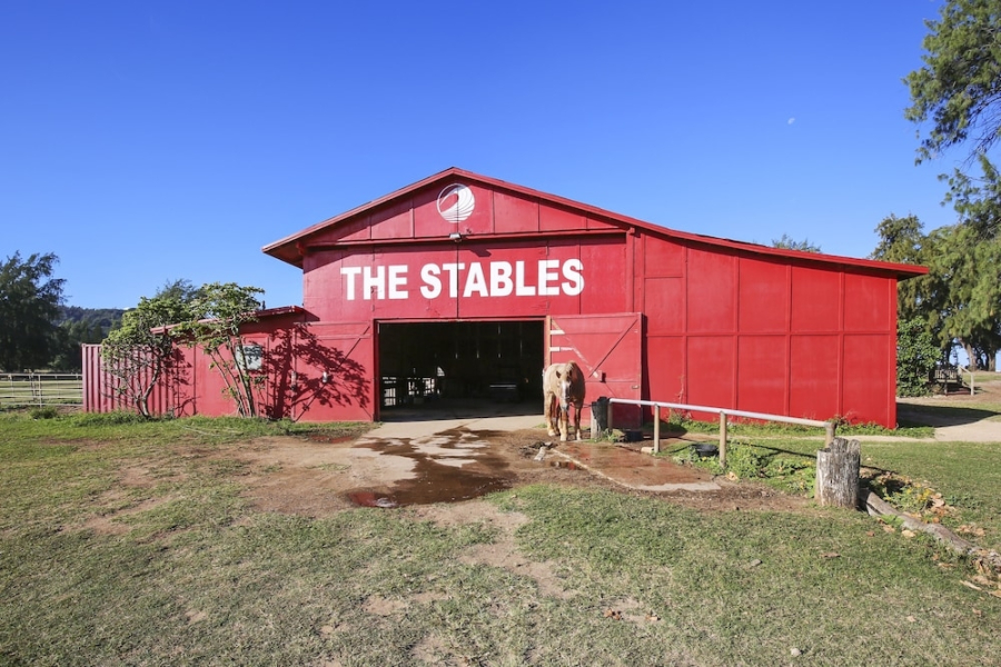 Turtle Bay Lanikai***nuc 90-tvu-0572 1 Bedroom Condo by RedAwning