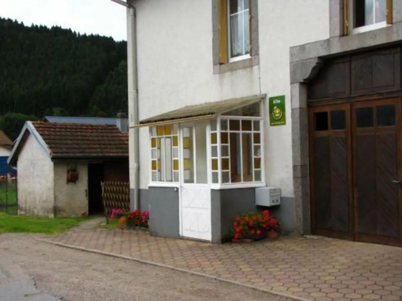 Gîte Granges-Aumontzey-Granges-sur-Vologne, 3 pièces, 4 personnes - FR-1-589-109