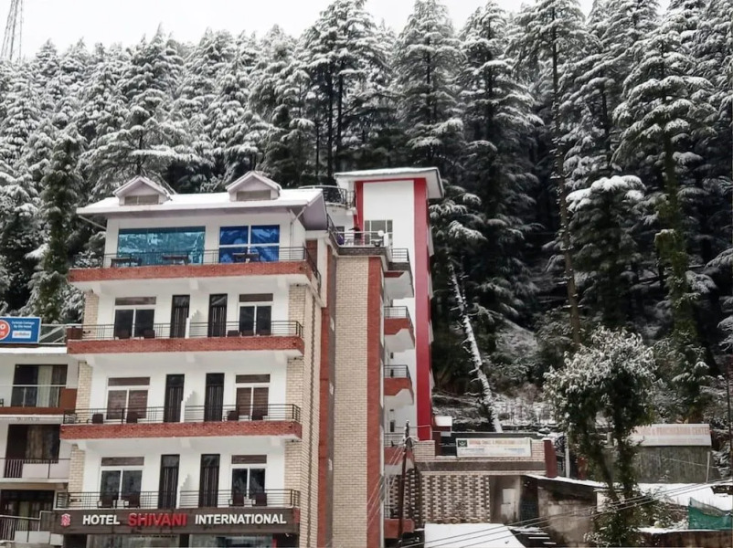 Hotel Shivani International