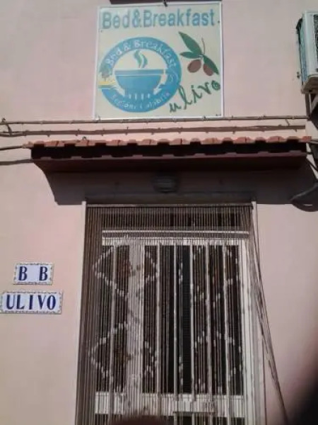 Ulivo