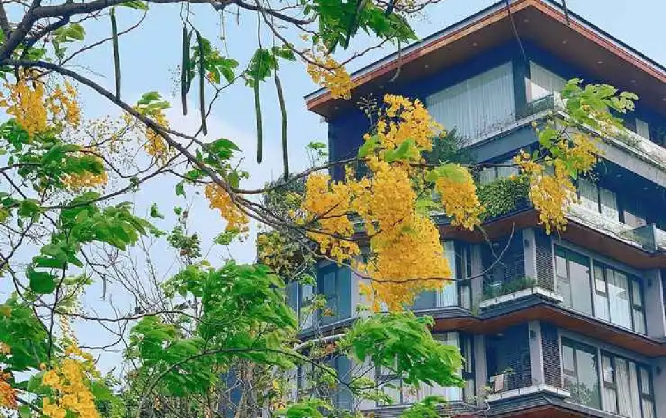 22Housing Moon Westlake Apartment