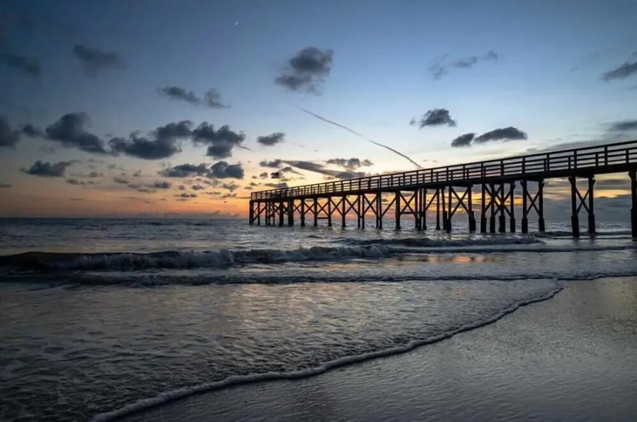 204 - Palms of Treasure Island