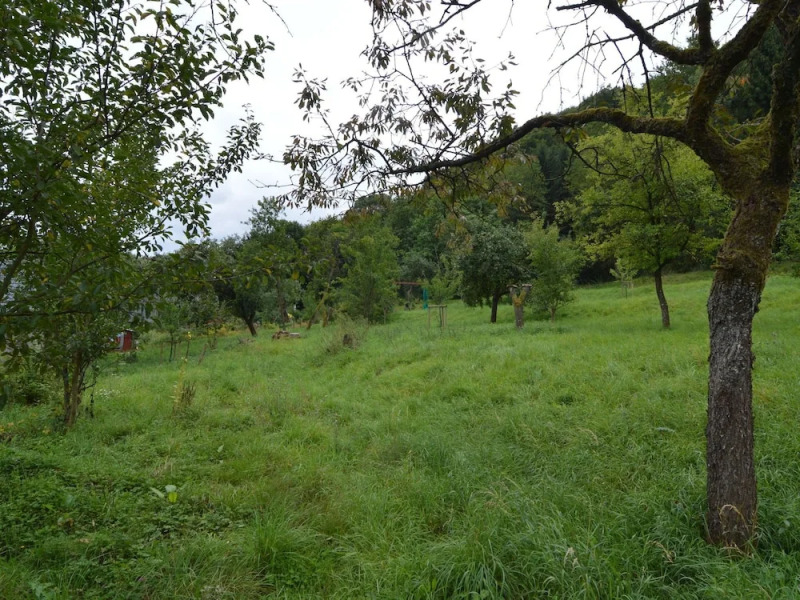 Cozy Apartment in Immerath with Fishing Nearby