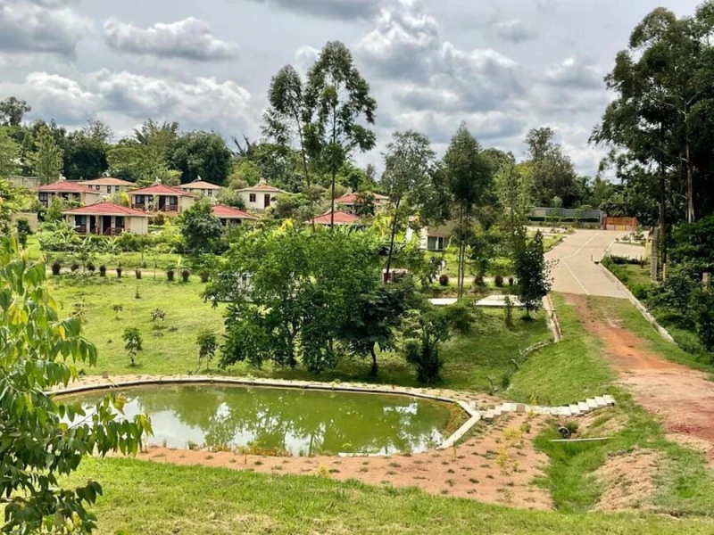 Zebi Ecolodge