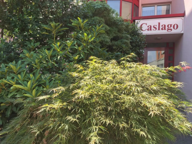 Apartment Caslago Caslano 21402