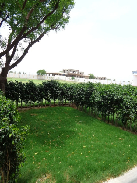 Todays Sunrise Luxury Resort