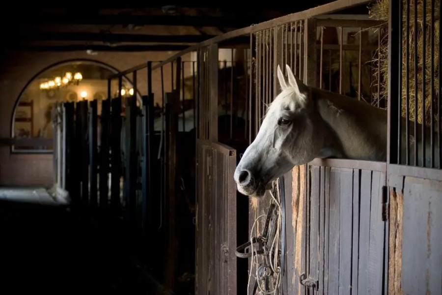 Geréby Kúria Hotel és Lovasudvar