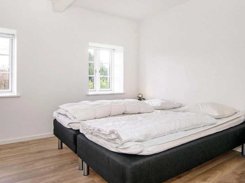 14 Person Holiday Home in Rodding