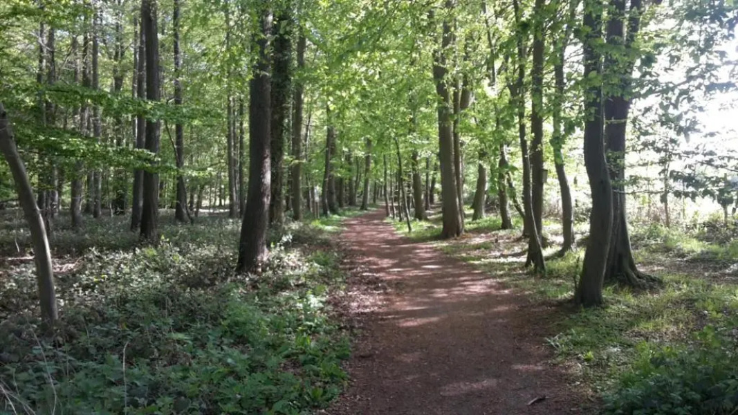 Komfort+ Ferienwohnung C1