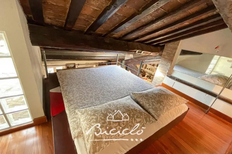 Biciclo Ferrara Città