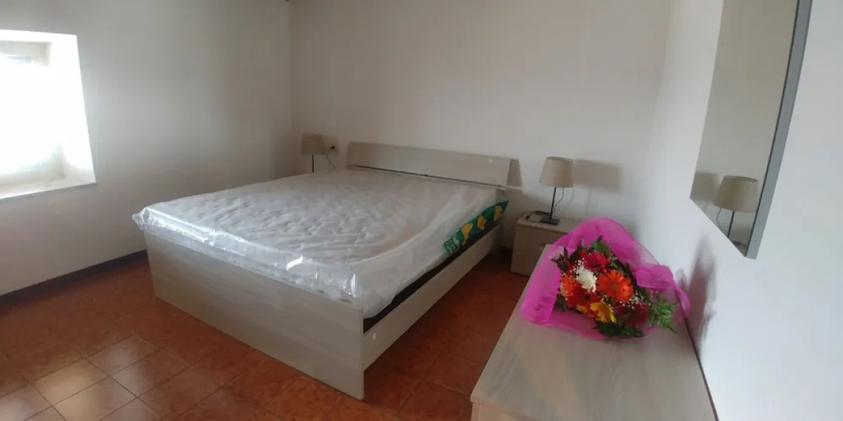 Holiday House