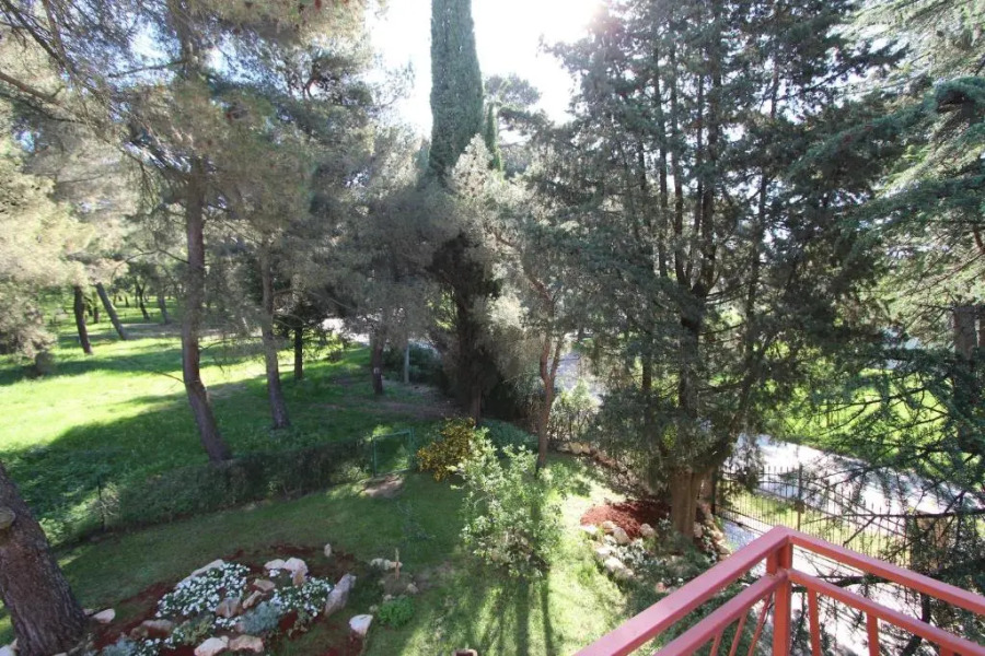 Apartment Clementina