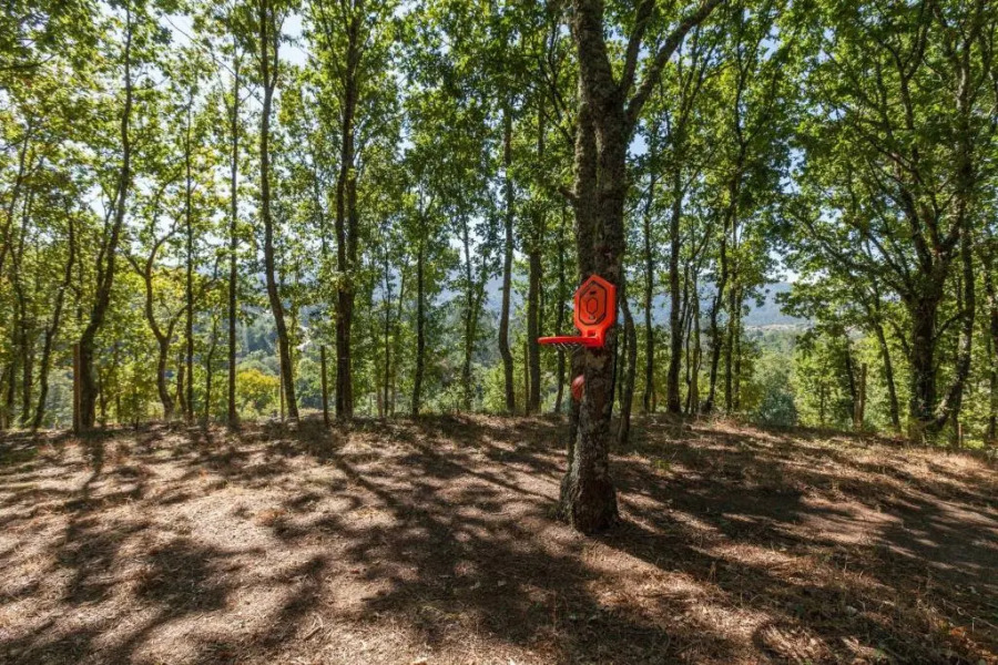 Forest House Casinha Do Carvalhal