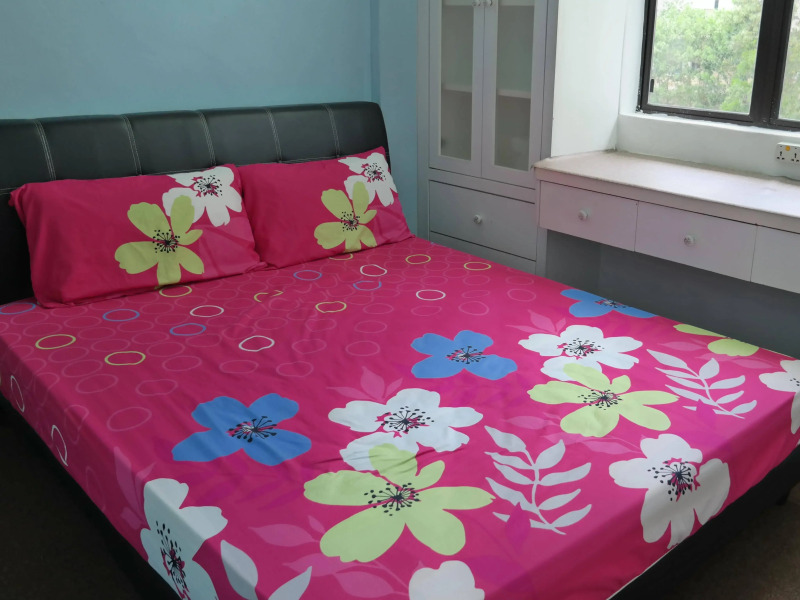 DeHomy Vacation Apartment