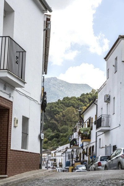 Mafloras Suites El Bosque