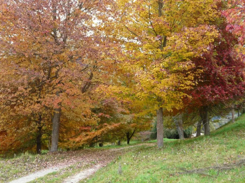 Orinoco Country Retreat