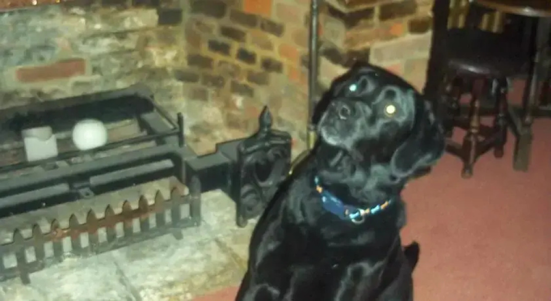 The White Hart Hotel