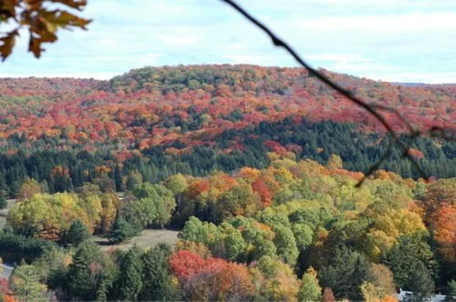 Bondi Village Lodge & Cottages