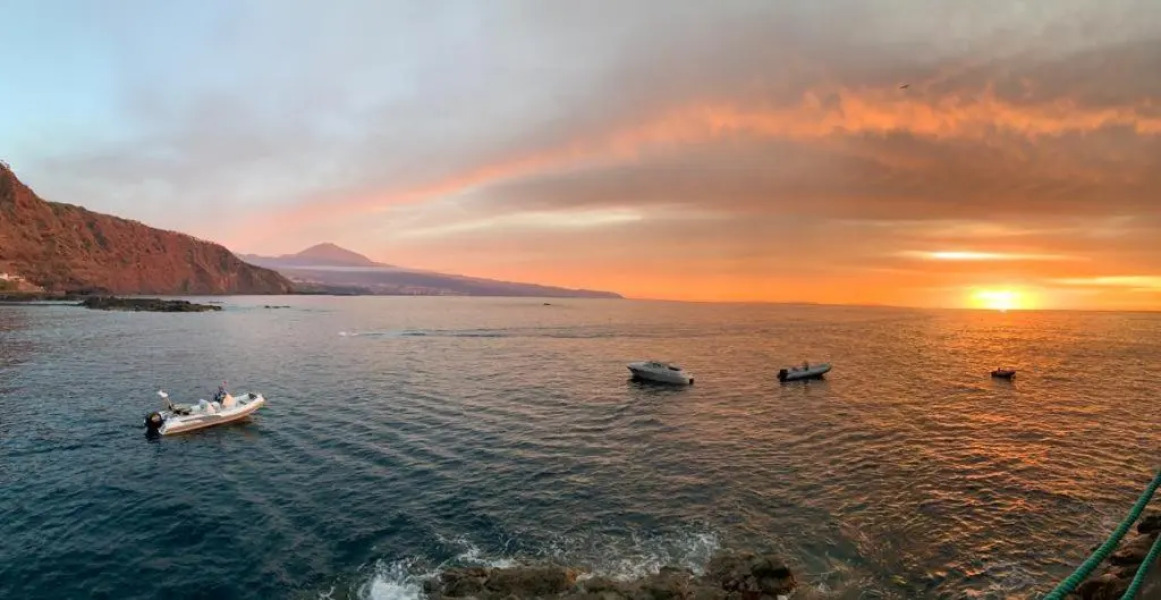 Modern studio on the beach