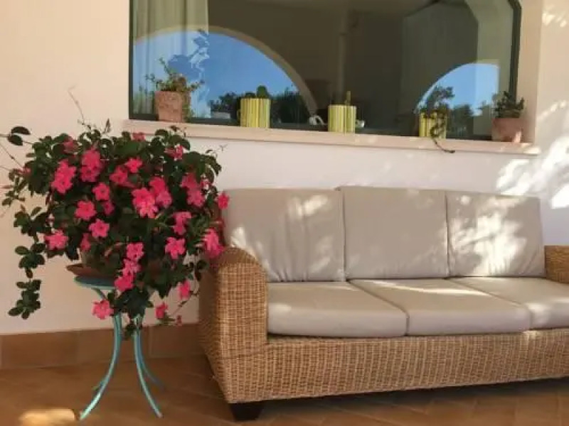 LUlivo Bed and Breakfast