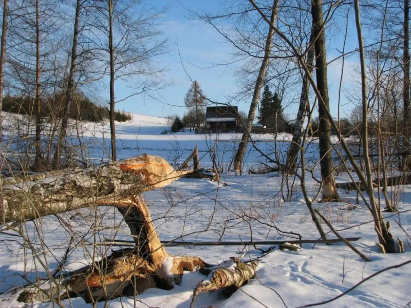 Dom w Czostkowie na Suwalszczyźnie