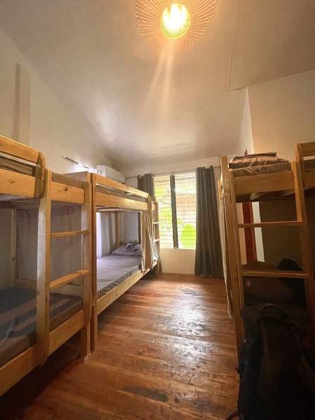 Monkey Business Bungalows