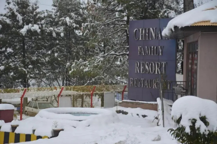Chinar Family Resort