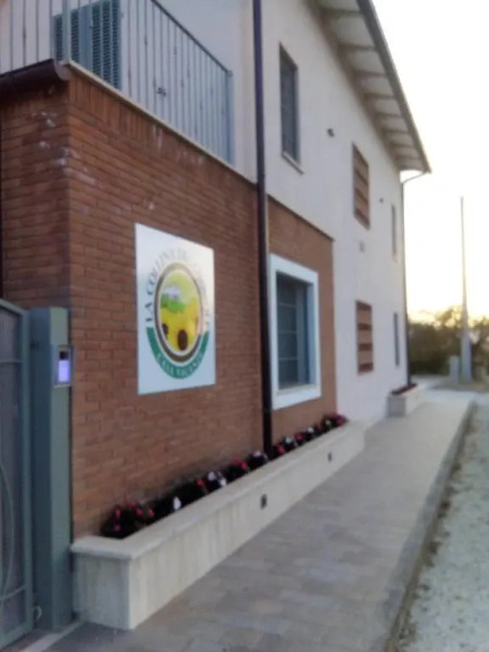 La Collina del Girasole