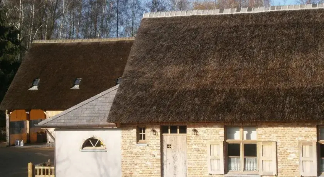 B&B Isegrim
