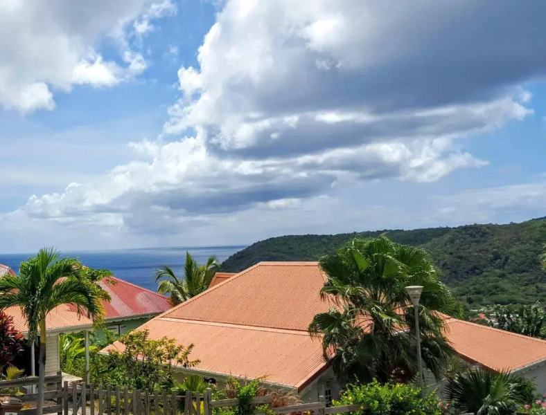 L´Odyssée Des Anses