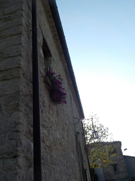 B&B Prato dei Caprioli