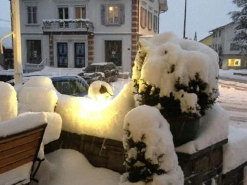 Hotel zum Roten Löwen