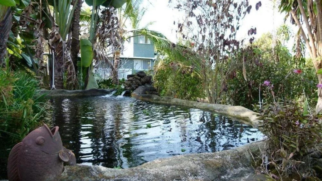 The Rainbow Plantation Bed and Breakfast