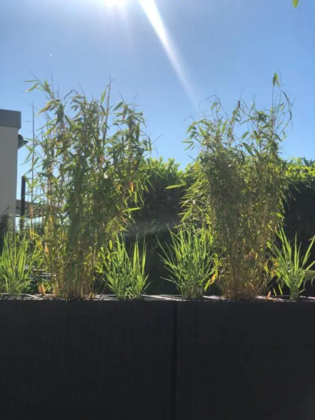 Apartment Oase- Kaiserslautern