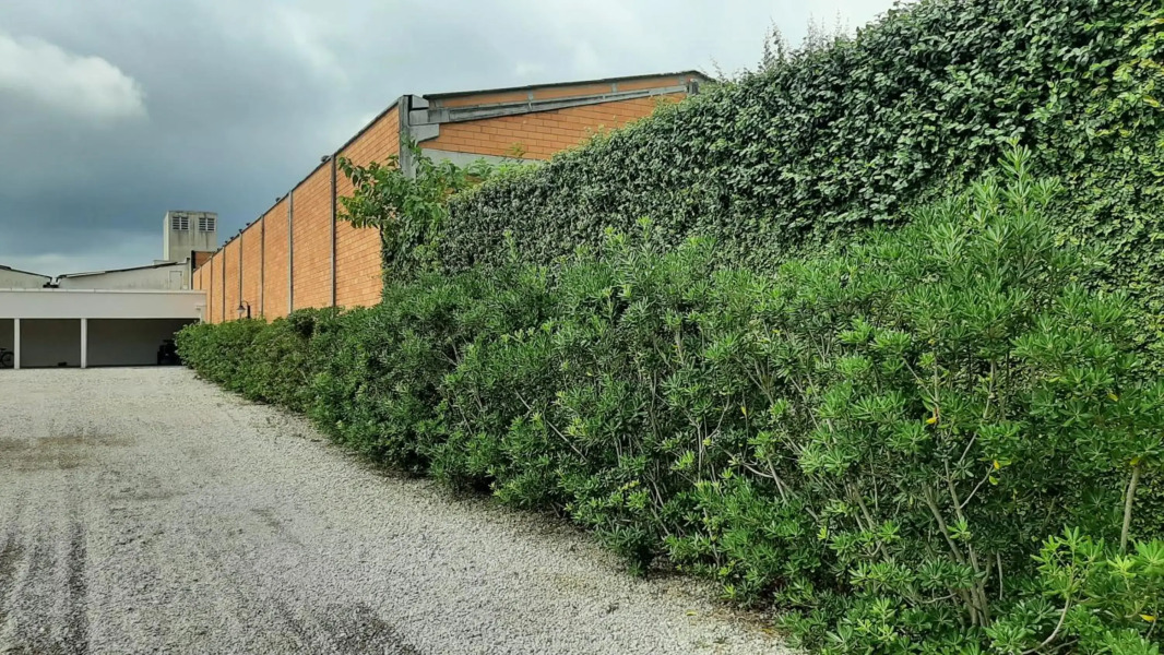 Apartamento aconchegante em Tijucas kit 11