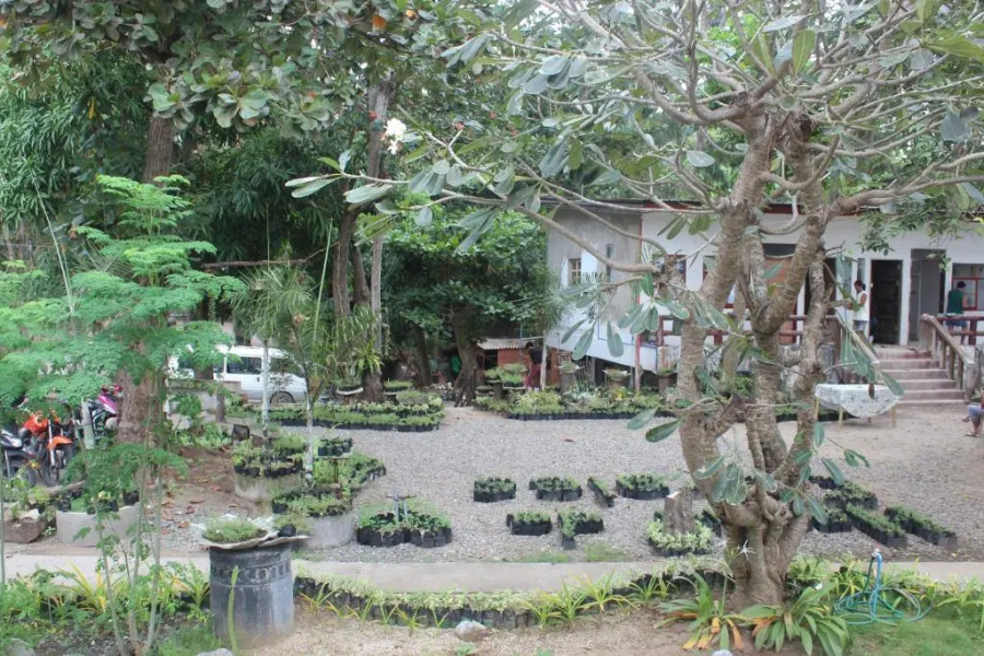 RedDoorz @ Hardin De Corales La Union