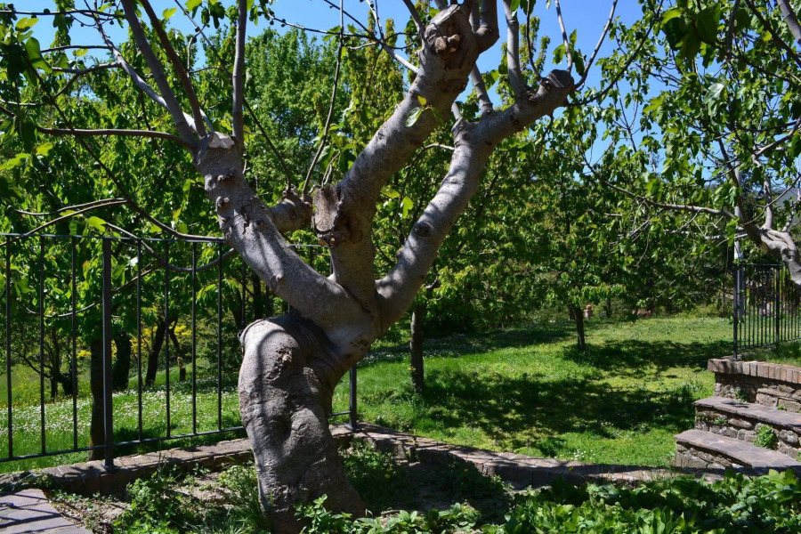 Sant'Apollinare Farm House